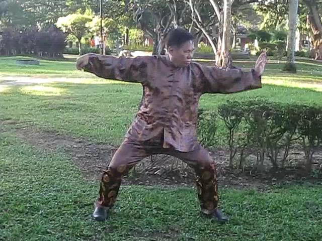 Wu Chuan You Style Taijiquan